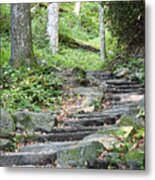 Steps Up Into The Forest 2 Metal Print