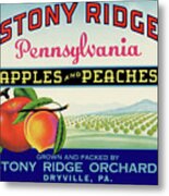 Stony Ridge Pennsylvania Apples And Peaches Metal Print