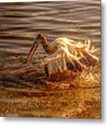 Stork Taking A Bath Metal Print