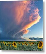 Storm Clouds And Sunflowers Metal Print