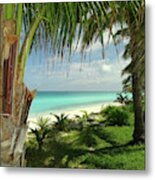 Inviting Bimini Beach Between 2 Palm Trees Metal Print