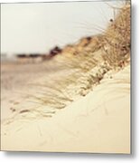 Succulent Plants In The Sand Metal Print