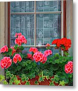 Summer Geraniums In The Window Painting Metal Print
