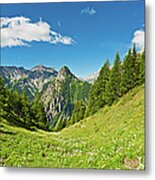 Summer Meadow Mountain Alpine Flowers Metal Print