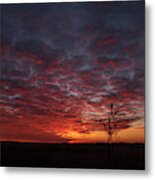 Sun Rise On Land Metal Print