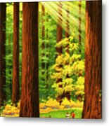 Sun Shining Through The Forest Metal Print