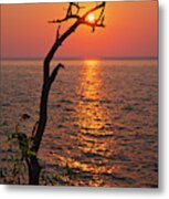 Suncatcher -  Dead Tree Grasps The Rising Sun At Cave Point Park In Door County Wi Metal Print