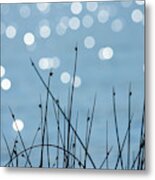 Sunlight Dances Metal Print