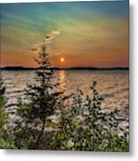 Sunset Pine Metal Print