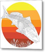 Sunset Redfish Metal Print