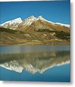Sunwapta Lake, Jasper National Park Metal Print