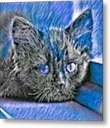 Super Cool Black Cat Blue Eyes Metal Print