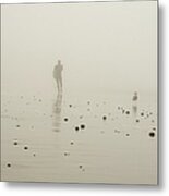Surfer And Seagull Metal Print