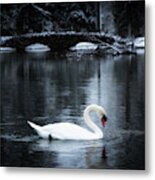 Swans In Winter Metal Print
