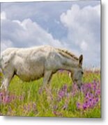 Sweet Burro Metal Print