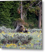 Sweetness Metal Print