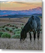 _t__6254 Metal Print