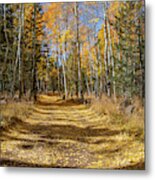 Take Me Home Country Road 3 By Tl Wilson Photography Metal Print