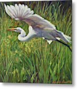 Taking Flight Metal Print