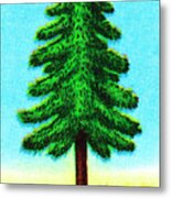 Tall Evergreen Tree Metal Print