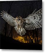 Tawny Owl And The False Fire Metal Print
