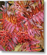 Textures And Colors Of Autumn Metal Print