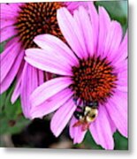 The Bee's Knees Metal Print