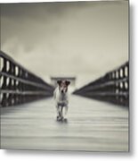 The Bridge Metal Print