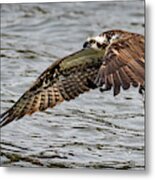 The Catch Metal Print