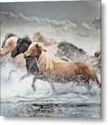 The Crossing Metal Print