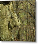 The Face Of The Tree Metal Print