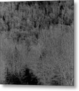 The Hillside Metal Print