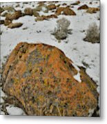 The Lichen Covered Boulders Of The Book Cliffs Metal Print