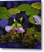 The Lily Pond Metal Print