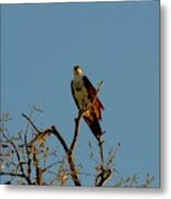 The Lookout Metal Print