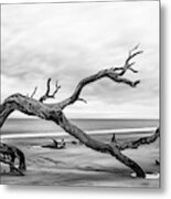 The Lunge Metal Print