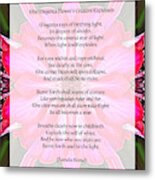 The Magenta Flower's Creative Explosion Poem Metal Print