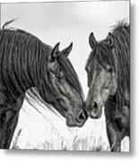 The Mane Attraction Metal Print