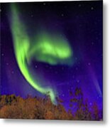 The Northern Lights Alaska Metal Print