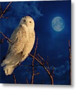 The Owl And The Mystical Moon Metal Print
