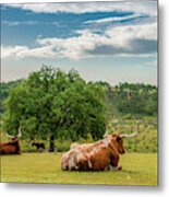 The Pastural Life Metal Print