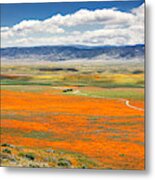 The Road Through The Poppies 2 Metal Print