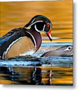 The Wood Duck Factory. Metal Print