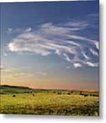 Theodore Roosevelt Np North Unit - Bison With Beautiful Clouds Metal Print