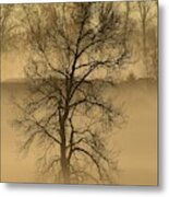 This Old Tree Metal Print