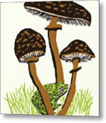 Three Mushrooms And A Frog Metal Poster