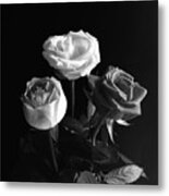 Three Roses Monochrome Metal Print