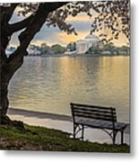 Tidal Basin With Cherry Blossoms And Metal Print