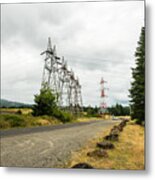 Towers And Trees Metal Print