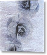 Traces Of Fading Beauty Metal Print
